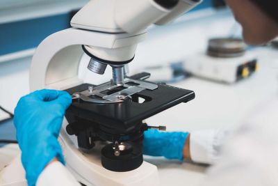 Gut bacteria changes could be ‘warning sign for worsening Parkinson’s symptoms’