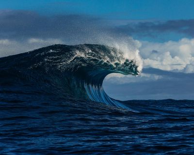 Australian government to declare almost a third of its oceans ‘highly protected’ in the next five years