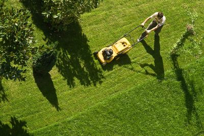 Experts reveal 10 things you can do to keep your lawn lush in summer