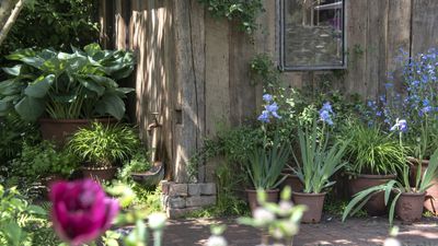 Layering vs turning compost – what's the difference? Compost experts reveal which is the best technique
