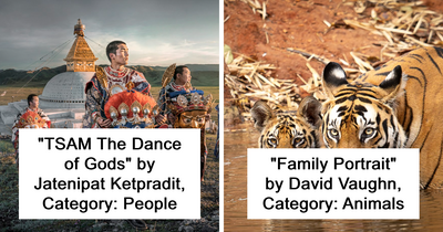 1839 Awards Highlight 25 Best Color Photography Shots Of The Year