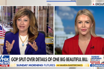White House press secretary Leavitt plays down Musk ‘fistfight’ reports: ‘It was definitely a disagreement’