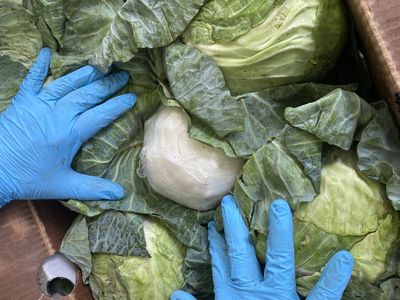 Man Gets More Than 10 Years In Prison After Trying To Smuggle Meth Inside Cabbage Heads