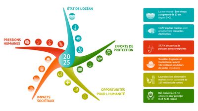 Scientists launch Ocean health barometer Starfish at UN summit