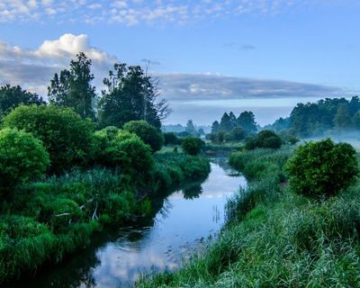 Send us a tip on wild Europe