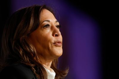 ‘They’re about stoking fear’: Harris rips Trump administration over Los Angeles crackdown