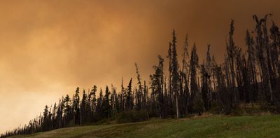 Wildfire smoke can harm your brain, not just your lungs