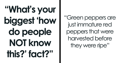 24 Cases When People Were Shocked That Someone Didn’t Know These Basic Facts