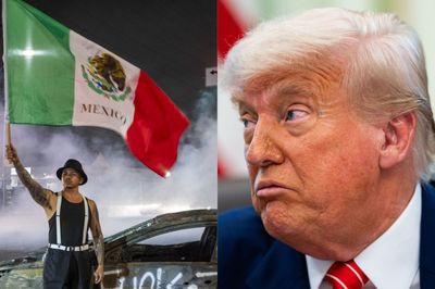 Trump Mocked for Calling LA Protesters 'Insurrectionists,' Demanding Jail Time: 'He Pardoned the Insurrectionists'
