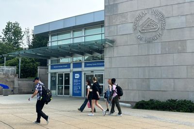 'We dissent': NIH workers protest Trump policies that 'harm the health of Americans'