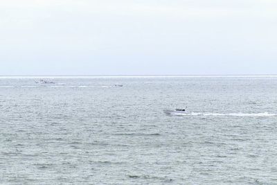 Six killed in small plane crash off the San Diego coast