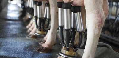 As livestock numbers grow, wild animal populations plummet. Giving all creatures a better future will take a major rethink