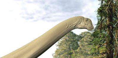 For the first time, fossil stomach contents of a sauropod dinosaur reveal what they really ate