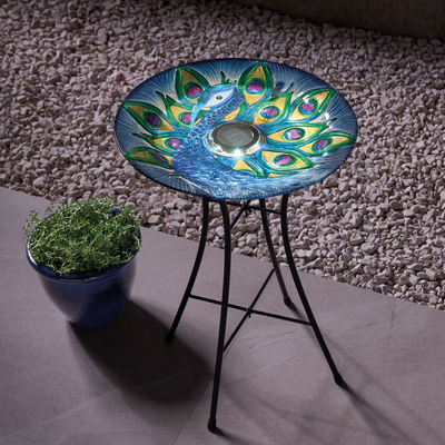 Aldi is selling a £18 solar bird bath that will light up your garden all summer - your garden birds will love it too