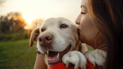 Try this expert-approved formula to boost your rescue dog’s happiness