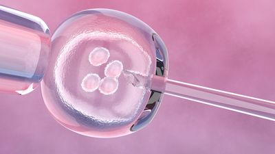 Monash IVF Admits A Second Incident Of Transferring The Wrong Embryo Into A Patient