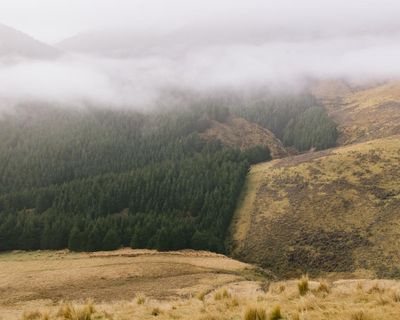 New Zealand government sued over ‘dangerously inadequate’ emissions reduction plan