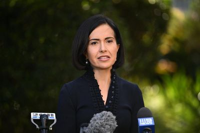 NSW deputy premier Prue Car reveals breast cancer diagnosis and will take time off to ‘fight this’