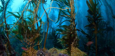 Australia’s government is pledging better protection for our vulnerable seas – but will it work?
