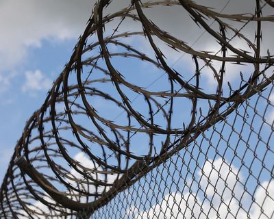 Crossbenchers call for federal intervention after ‘deeply shocking’ revelations about prison deaths