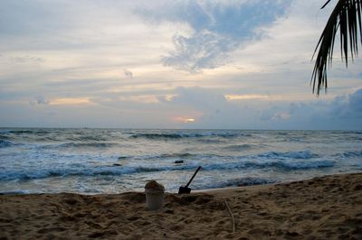 Record number of travel-linked typhoid cases