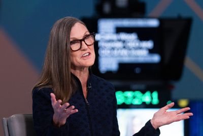 Top investor Cathie Wood says Elon Musk's feud with Trump shows just how much Musk's companies rely on the government