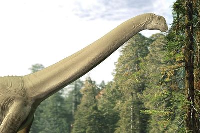 Fossilised stomach reveals sauropod dinosaur’s final meal