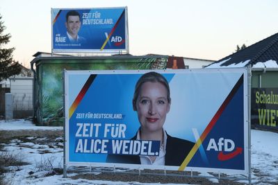 20,000 Right-wing extremists in Alternative for Germany main Opposition party, warn spy chiefs