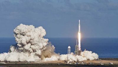 Cathie Wood Profits From End Of Trump And Musk Bromance