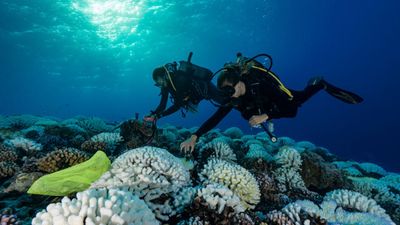 French Polynesia unveils world's largest marine protected zone