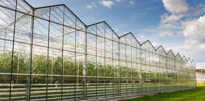 Why burning waste to power a giant greenhouse really could be a greener way of growing food