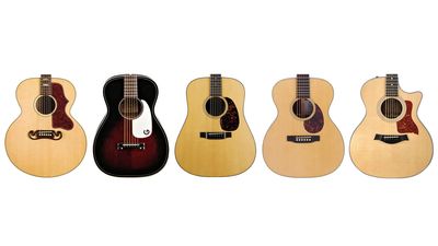 From Parlour to Jumbo: The beginner's guide to acoustic guitar body shapes (and which one is right for you)