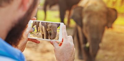 What the new British zoo standards mean for animal welfare