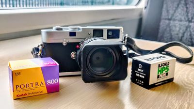 Why film grain is the new gold in the digital photography age
