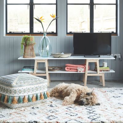 My whole family is allergic to my dog – these are the 4 things I do to get rid of pet dander in my home, so you'd never know