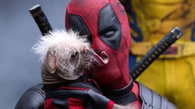 Ryan Reynolds jokingly responds to new Deadpool VR actor Neil Patrick Harris voicing his Marvel hero: "People who steal your signature roles are the biggest buttholes of all"