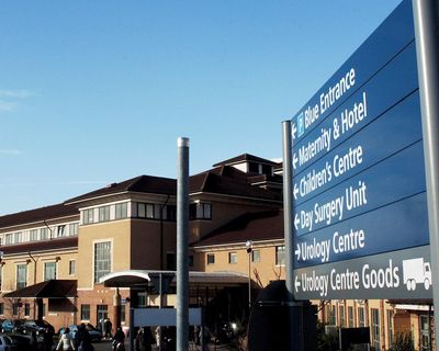 Loss of data relating to inquiry at NHS trust most likely deliberate, say police