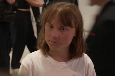 Greta Thunberg says she was ‘kidnapped’ from Gaza aid boat by Israel