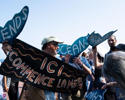 Ministers pledge UK action to ratify high seas treaty by end of year