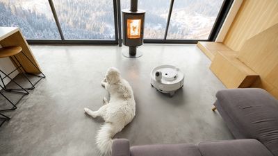 SwitchBot’s multitasking robot is finally here, and it’s the gadget your messy household needs