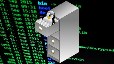 Getting To Know the Linux Filesystem — Demystify the directories