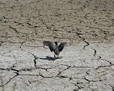 Drought fears in Europe amid reports May was world’s second hottest ever