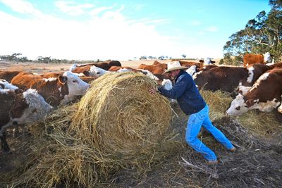 Parts of Australia are suffering another devastating drought, but you wouldn’t know it in the cities