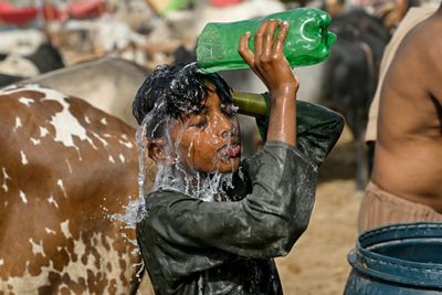 Month of May was world’s second-warmest on record: EU scientists