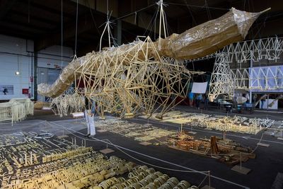 Dutch beach beasts find a final resting place in a new exhibition
