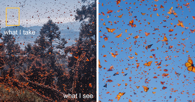 “What I See Vs. What I Take”: 16 Photos Revealing How This Photographer Captures The Perfect Shot