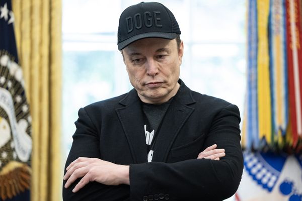 Elon Musk offers rare mea culpa over Trump tweets: ‘They went too far’