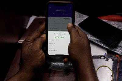 ‘I invested in a Ponzi scheme’: Nigerians fall victim to crypto scams
