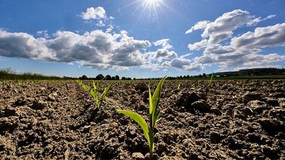 World sees second-hottest May on record as Europe faces rising drought concerns