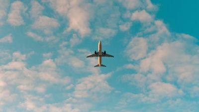 Airlines are handing your data to ICE — civil rights groups now want Congress to stop it